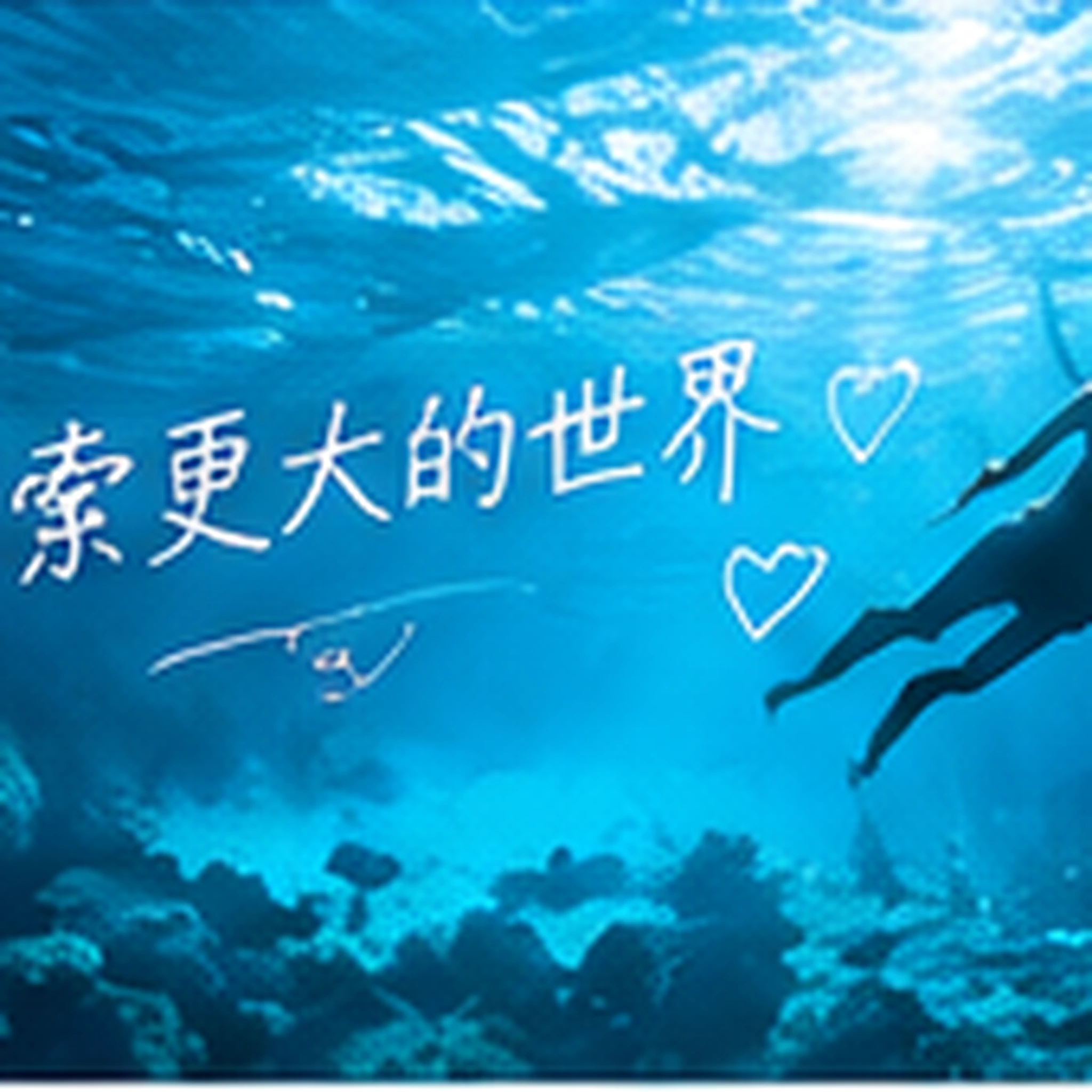 宠物视角短片引发的构图讨论